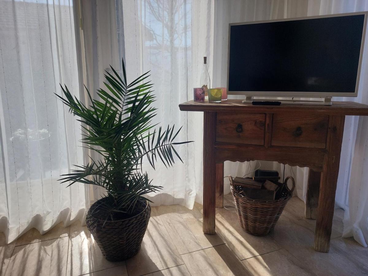 Cosy Petten, Family Only Esterno foto