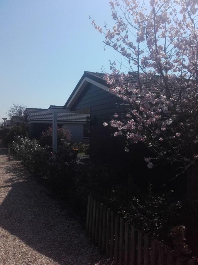 Cosy Petten, Family Only Esterno foto